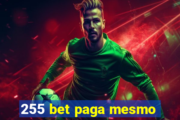 255 bet paga mesmo